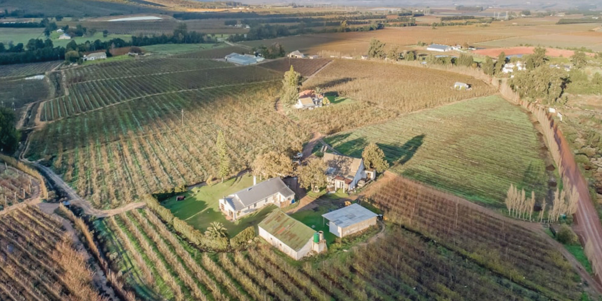 Farms and agricultural properties